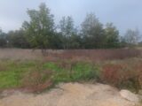 Terrain à bâtir à Montauban (82000) 2119403-10590annonce220241108C5XGl.jpeg Oc Résidences