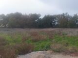 Terrain à bâtir à Montauban (82000) 2119403-10590annonce320241108xN5K6.jpeg Oc Résidences