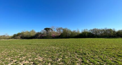 Labastide-d'Anjou Maison neuve - 2105083-3185annonce2202503134Reyh.jpeg Oc Résidences