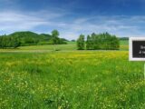 Maison à construire à Pezens (11170) 2113265-3185annonce120250320fFZ0m.jpeg Oc Résidences