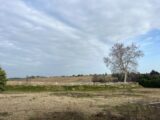 Maison à construire à Quint-Fonsegrives (31130) 2085044-9431annonce120250220Kc4BQ.jpeg Oc Résidences