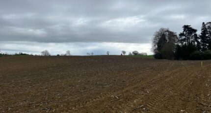 Verfeil Terrain à bâtir - 2112627-10599annonce420241023KD1PA.jpeg Oc Résidences