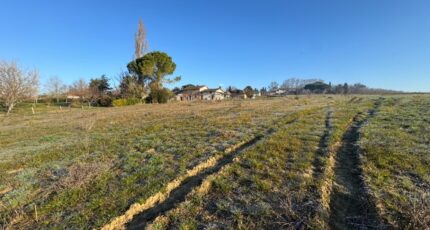Verfeil Maison neuve - 2072122-9431annonce220250206Tdbwh.jpeg Oc Résidences