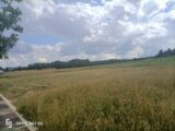 Terrain à bâtir à Muret (31600) 2119407-10590annonce420241107SnBoo.jpeg Oc Résidences
