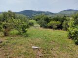 Maison à construire à Aiguefonde (81200) 2105820-4583annonce120250314ibPGb.jpeg Oc Résidences