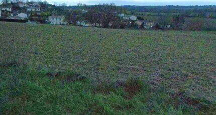Cologne Terrain à bâtir - 2168500-9431annonce220250523rGBBJ.jpeg Oc Résidences