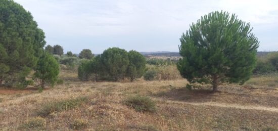 Terrain à bâtir à , Aude