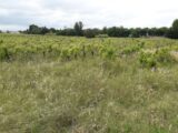 Maison à construire à Bizanet (11200) 2097020-11177annonce120250305Qpi3s.jpeg Oc Résidences