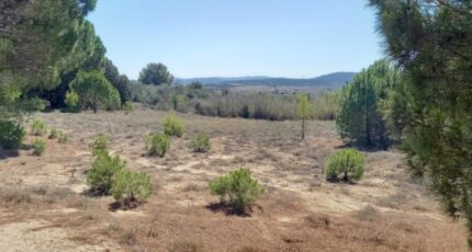 Marcorignan Terrain à bâtir - 2097163-11177annonce120250305UzTbW.jpeg Oc Résidences