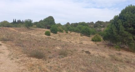 Marcorignan Terrain à bâtir - 2097163-11177annonce220250305euvlG.jpeg Oc Résidences