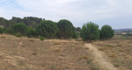 Marcorignan Maison neuve - 2097180-11177annonce120250305CdBSy.jpeg Oc Résidences