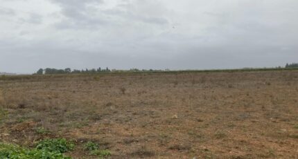 Montady Maison neuve - 2097360-11177annonce220250305sQvXA.jpeg Oc Résidences