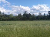 Maison à construire à Cruscades (11200) 2103775-11177annonce1202503123vxCU.jpeg Oc Résidences