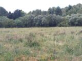 Terrain à bâtir à Bize-Minervois (11120) 2103954-11177annonce220250312bDna3.jpeg Oc Résidences
