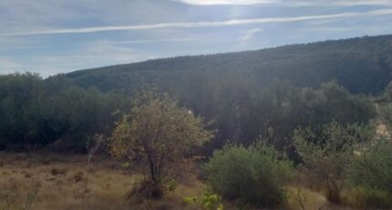 Bize-Minervois Terrain à bâtir - 2103980-11177annonce220250312JOvWZ.jpeg Oc Résidences