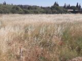Maison à construire à Salles-d’Aude (11110) 2103894-11177annonce120250312ZG6XJ.jpeg Oc Résidences