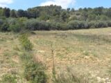 Terrain à bâtir à Bize-Minervois (11120) 2103999-11177annonce120250312eIXIs.jpeg Oc Résidences