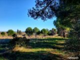 Maison à construire à Alignan-du-Vent (34290) 2124172-11177annonce120250403pzk5b.jpeg Oc Résidences