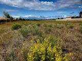 Maison à construire à Bassan (34290) 2140024-11177annonce1202504245Rm0Q.jpeg Oc Résidences