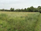 Maison à construire à Viviers-lès-Montagnes (81290) 2154575-5649annonce120250512tdnCJ.jpeg Oc Résidences