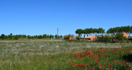 Maraussan Maison neuve - 2166828-11177annonce120250522isHat.jpeg Oc Résidences