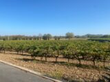 Maison à construire à Lézignan-la-Cèbe (34120) 2167767-11177annonce120250523xgGli.jpeg Oc Résidences