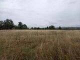 Terrain à bâtir à Saint-Sulpice (81370) 2168728-3177annonce120250131VrJ8a.jpeg Oc Résidences