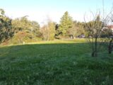 Maison à construire à Cadalen (81600) 2168773-3177annonce1202501293TUAx.jpeg Oc Résidences
