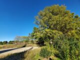 Maison à construire à Laurens (34480) 2170389-11177annonce1202505263FLEU.jpeg Oc Résidences