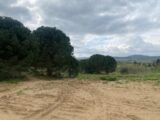 Terrain à bâtir à Marcorignan (11120) 2172949-11177annonce120250527UAARD.jpeg Oc Résidences