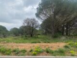 Maison à construire à Marcorignan (11120) 2173608-11177annonce120250528tBPmM.jpeg Oc Résidences
