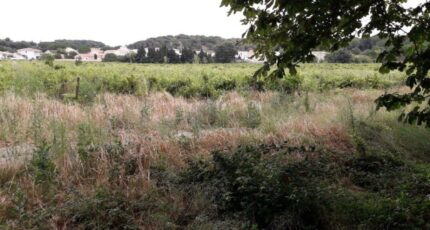 Bizanet Maison neuve - 2173701-11177annonce120250528HwcUd.jpeg Oc Résidences