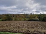 Maison à construire à Empeaux (31470) 2096329-9431annonce120250304QDZOX.jpeg Oc Résidences