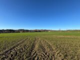 Maison à construire à Villenouvelle (31290) 2179871-9431annonce120250205ccSsU.jpeg Oc Résidences