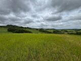 Maison à construire à Castelnaudary (11400) 2182958-3185annonce120250606eSqt2.jpeg Oc Résidences