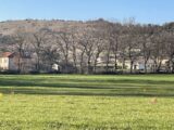 Maison à construire à Payrin-Augmontel (81660) 2185096-4583annonce120250211eccov.jpeg Oc Résidences