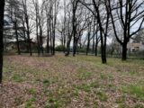 Maison à construire à Saïx (81710) 2146373-5649annonce1202501092bh78.jpeg Oc Résidences