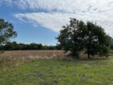 Maison à construire à Cadalen (81600) 2147398-3180annonce120241210Oce40.jpeg Oc Résidences