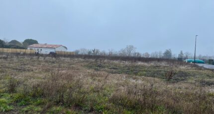 Lagrave Maison neuve - 2147374-3180annonce120241230BPk7G.jpeg Oc Résidences