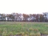 Maison à construire à Montdurausse (81630) 2152813-3177annonce120250113Fh4OL.jpeg Oc Résidences