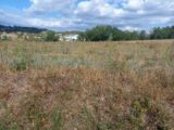 Maison à construire à Puygouzon (81990) 2186552-3180annonce120241016pzamK.jpeg Oc Résidences