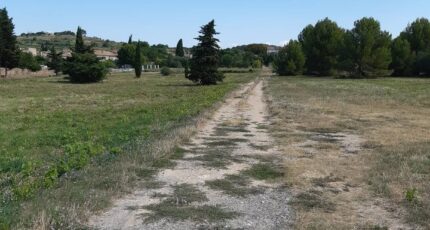 Saint-Pargoire Terrain à bâtir - 2244357-11177annonce220250811DVR23.jpeg Oc Résidences