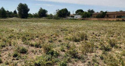 Saint-Pargoire Maison neuve - 2245571-11177annonce120250811Zzkuu.jpeg Oc Résidences