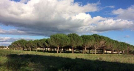 Lézignan-la-Cèbe Maison neuve - 2245530-11177annonce220250814Cv5X4.jpeg Oc Résidences