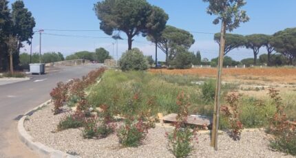 Sallèles-d'Aude Maison neuve - 2248743-11177annonce120250822RBZdp.jpeg Oc Résidences