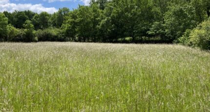 Castres Maison neuve - 2250090-5649annonce120230526wK47T.jpeg Oc Résidences