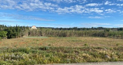 Nissan-lez-Enserune Maison neuve - 2250401-11177annonce220250825a6QEC.jpeg Oc Résidences