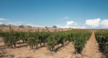 Lignan-sur-Orb Terrain à bâtir - 2250641-11177annonce120250825mBLJI.jpeg Oc Résidences