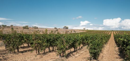 Terrain à bâtir à Lignan-sur-Orb, Occitanie