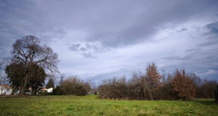 Gaillac Terrain à bâtir - 2269085-3177annonce120250130StX1T.jpeg Oc Résidences